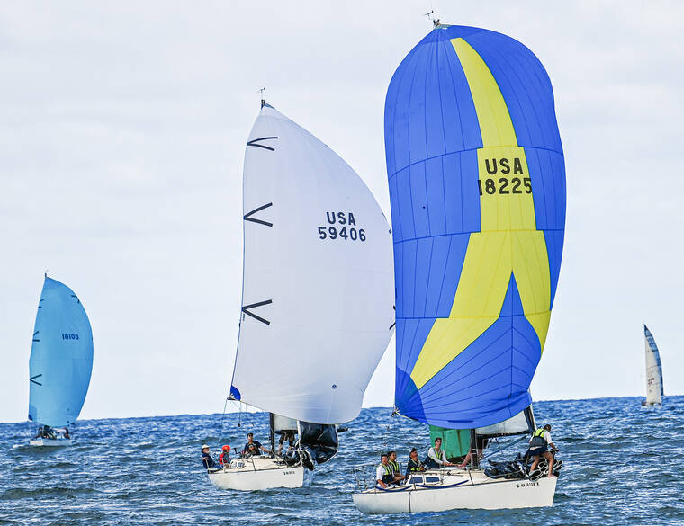 Bonjolea II shakes off crab pot for seventh straight win The Garden Island